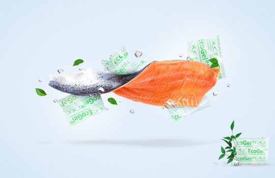 Gelpack-en-salmon-Foto-DLC-en-baja-540x350